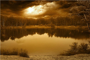 当舔狗后，她靠娶夫登皇位热门小说