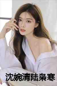 沈婉清陆枭寒