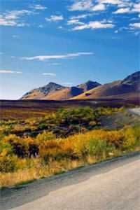 甜腻：手握空间的女知青被军官娇宠全集小说阅读