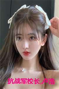 抗战军校长,卢浩