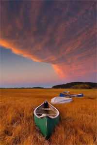 全文阅读万古剑圣