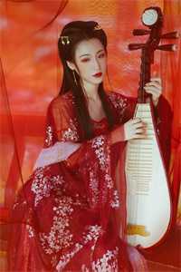 精品推介农家媳妇状元郎