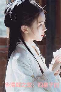 华清殿之变：四皇子的皇权之路小说