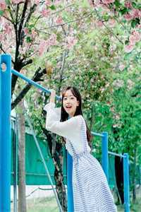 带12个妹妹逛街，奖励加倍完整作品阅读