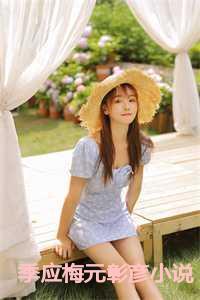 季应梅元彰彦小说