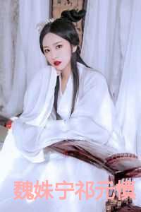 魏姝宁祁元慎