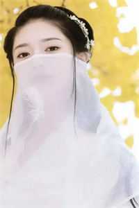 席总又在哄他的娇软大小姐了热门作品