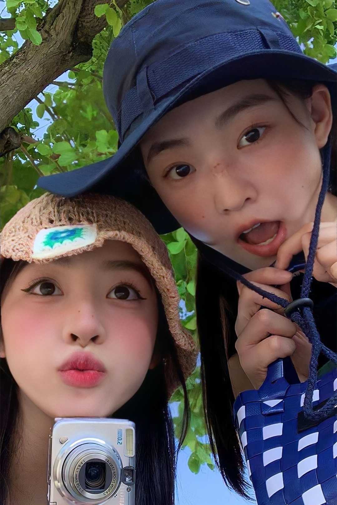 陈路颜宋初渝全文免费