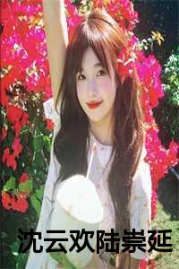 沈云欢陆崇延