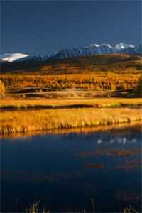 阅读全集皇后重生后,暴君每天都在花样追妻