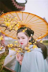 满级大佬马甲又掉了