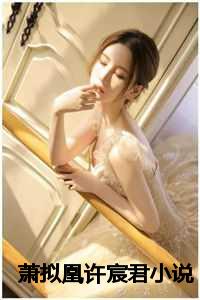 萧拟凰许宸君小说
