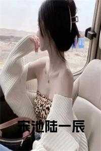 宋池陆一辰正版