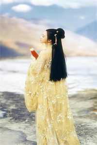 我，陆地神仙，签到一百年潜心更新