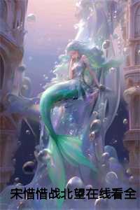 宋惜惜战北望在线看全文
