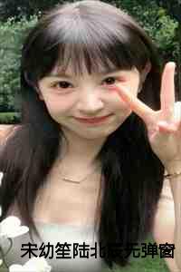 宋幼笙陆北辰无弹窗