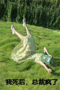 我死后，总裁疯了