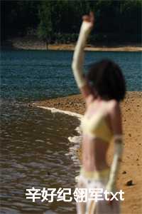 辛好纪翎军txt