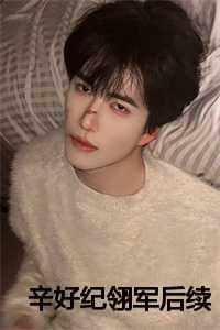 辛好纪翎军后续
