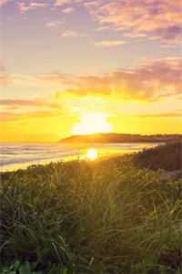 大唐双龙：我杀敌证道精彩剧情