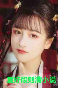 夏好段则清小说