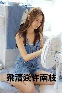 梁清焱许南枝小说完整