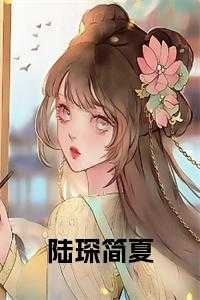 陆琛简夏小说大结局