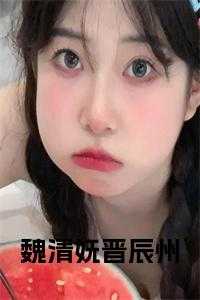 魏清妩晋辰州在线