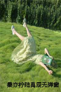 桑亦柠陆禹辰无弹窗