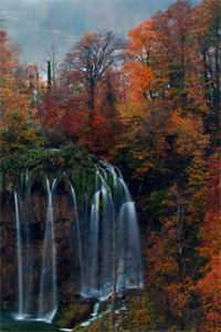 打脸虐渣后，拐了个病娇夫君回家