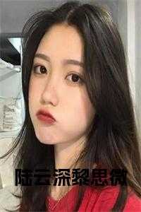 陆云深黎思微在线