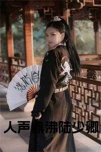 人声鼎沸陆少卿全文