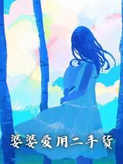 婆婆爱用二手货