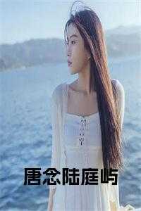 唐念陆庭屿小说全文