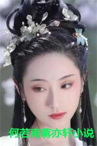 何若南蒋亦轩小说