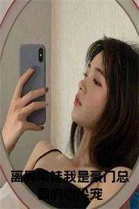 离异带娃我是豪门总裁的心尖宠小说免费