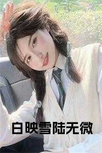 白映雪陆无微书名的小说