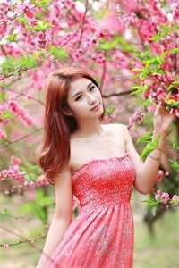 逍遥修仙界苏画张芸的