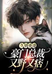 久别重逢：豪门总裁又野又痞