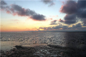 你不愿嫁我，我娶高个小富婆