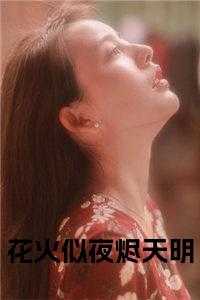 花火似夜烬天明免费