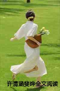 许清涵斐晔全文阅读