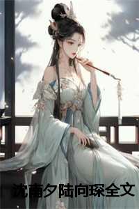 沈南夕陆向琛全文