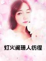 灯火阑珊人彷徨免费