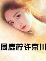 周鹿柠许京川小说