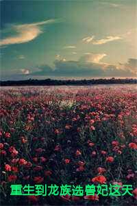 重生到龙族选兽妃这天