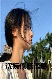 沈婉仪陆谨寒书名的小说