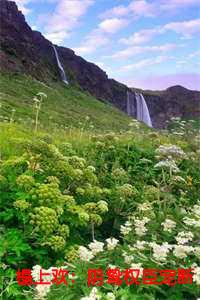 榻上欢：阴鸷权臣宠断腰