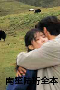 南笙陆珩全本