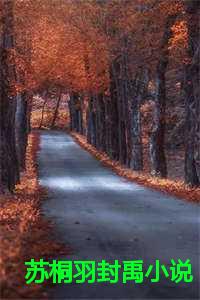 苏桐羽封禹小说